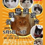 保護猫譲渡会のお知らせ